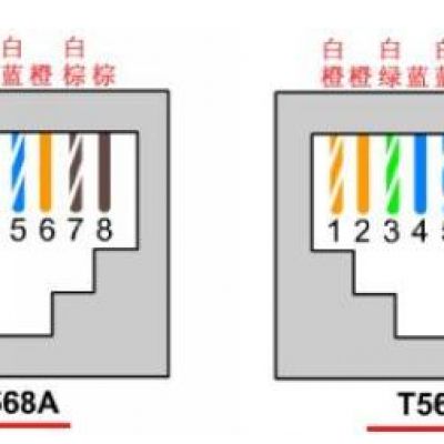 如何正确的查看网线线序？